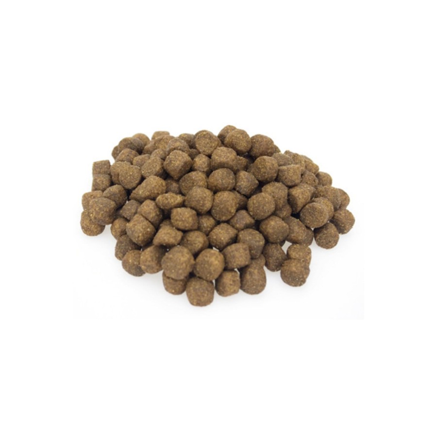 Kuzu Etli Yetişkin Köpek Maması 5 Kg Açık Mama