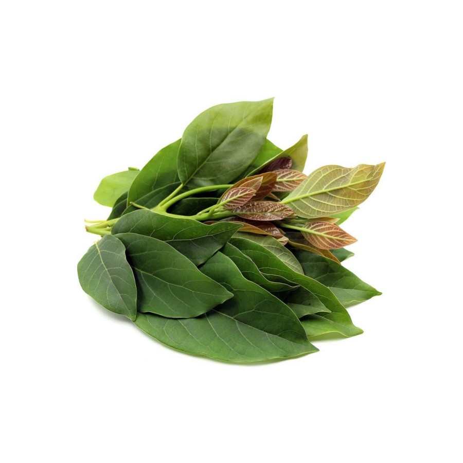 Taze Avokado Yaprağı 250 gr
