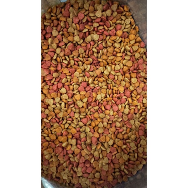 Gurme Kedi Maması Renkli Taneli Tavuk-balık-kuzuetli 1kg&hellip;