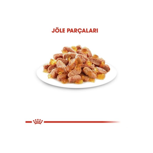 R. Canin Kitten Instinctive İn Jelly Yavru Kedi Jel Konservesi 85Gr 4'Lü&hellip;