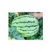 Erkenci karpuz tohumu geleneksel watermelon dixie queen
