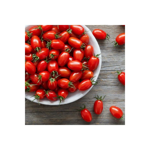 Atalık Bebek Üzümü domates tohumu sırık tip&hellip;