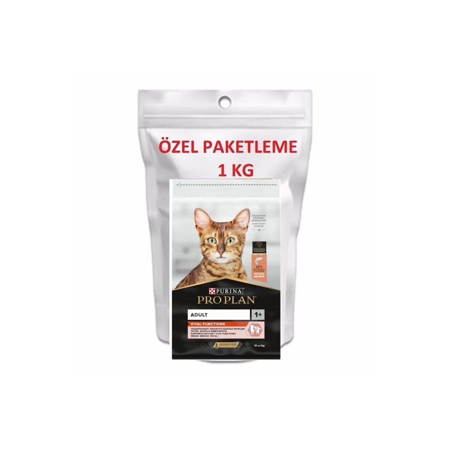 SOMON YETİŞKİN KEDİ MAMASI 1 KG DOYPACK AMBALAJ