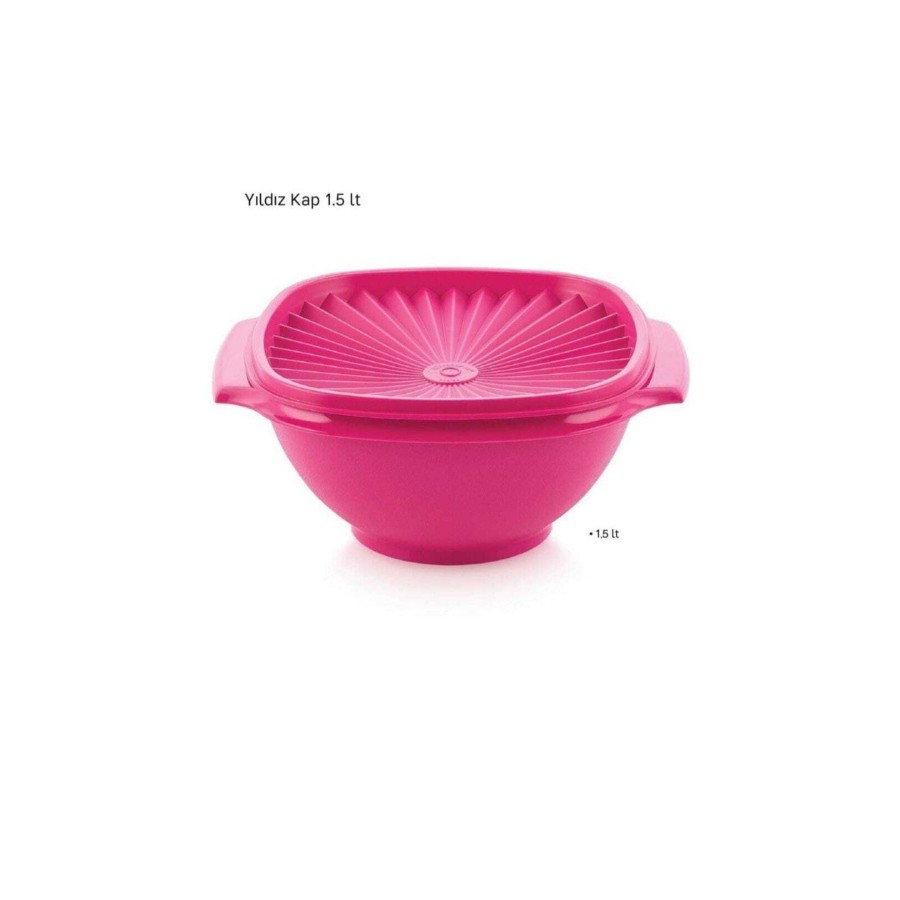 1,5 Lt Yıldız Saklama Kabı